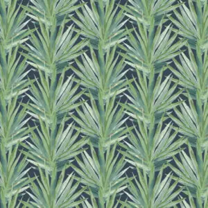 Tropic