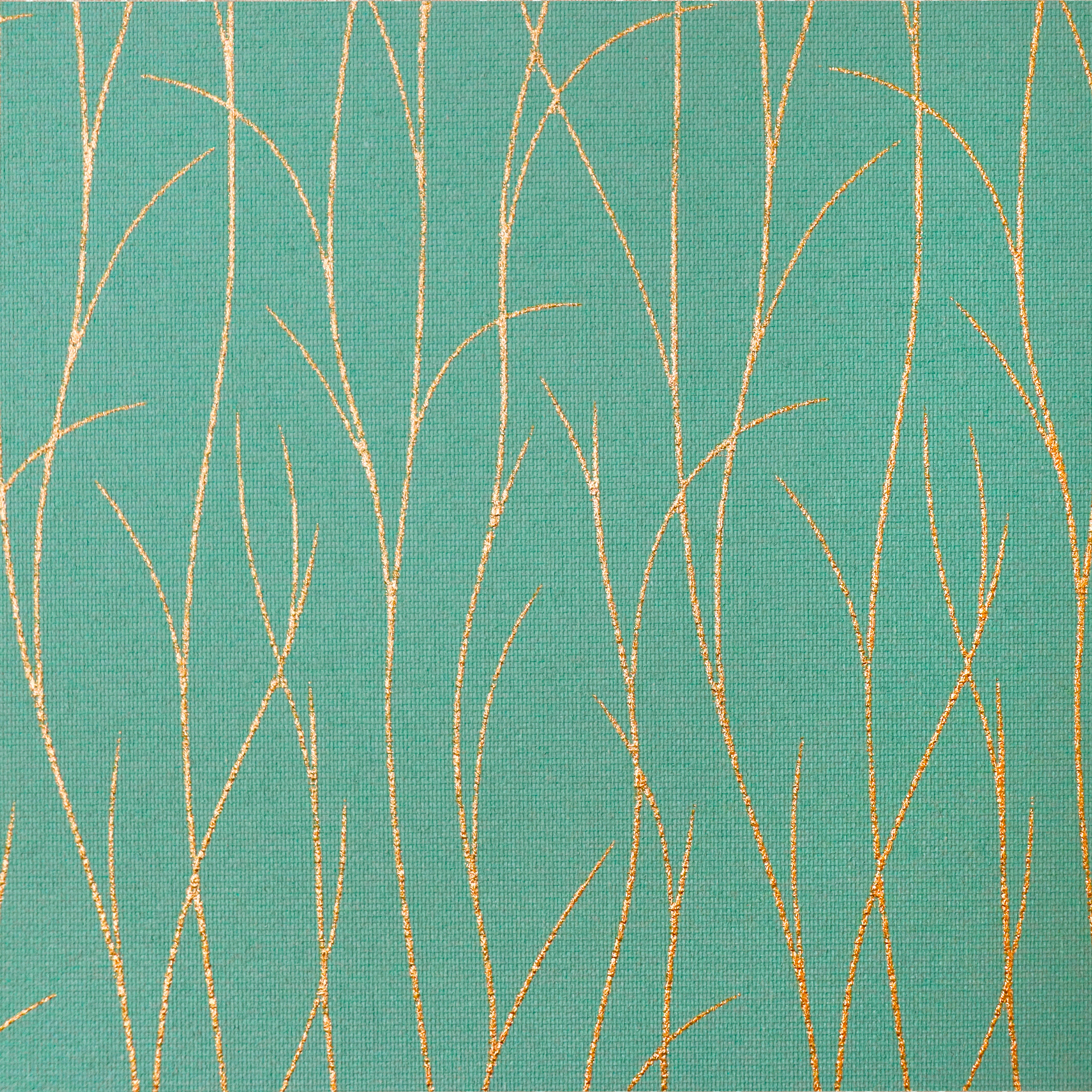 RP5311_Sio Pastello