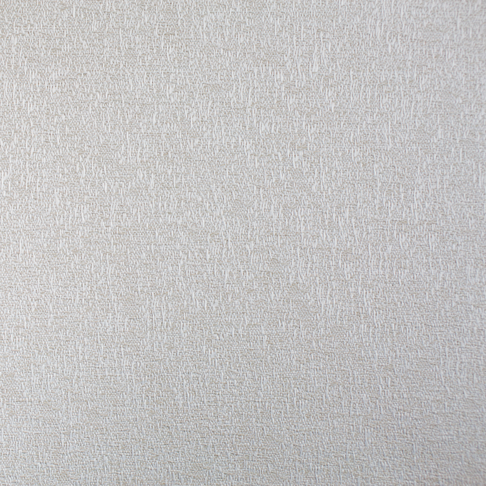 glimpse-oyster-.png