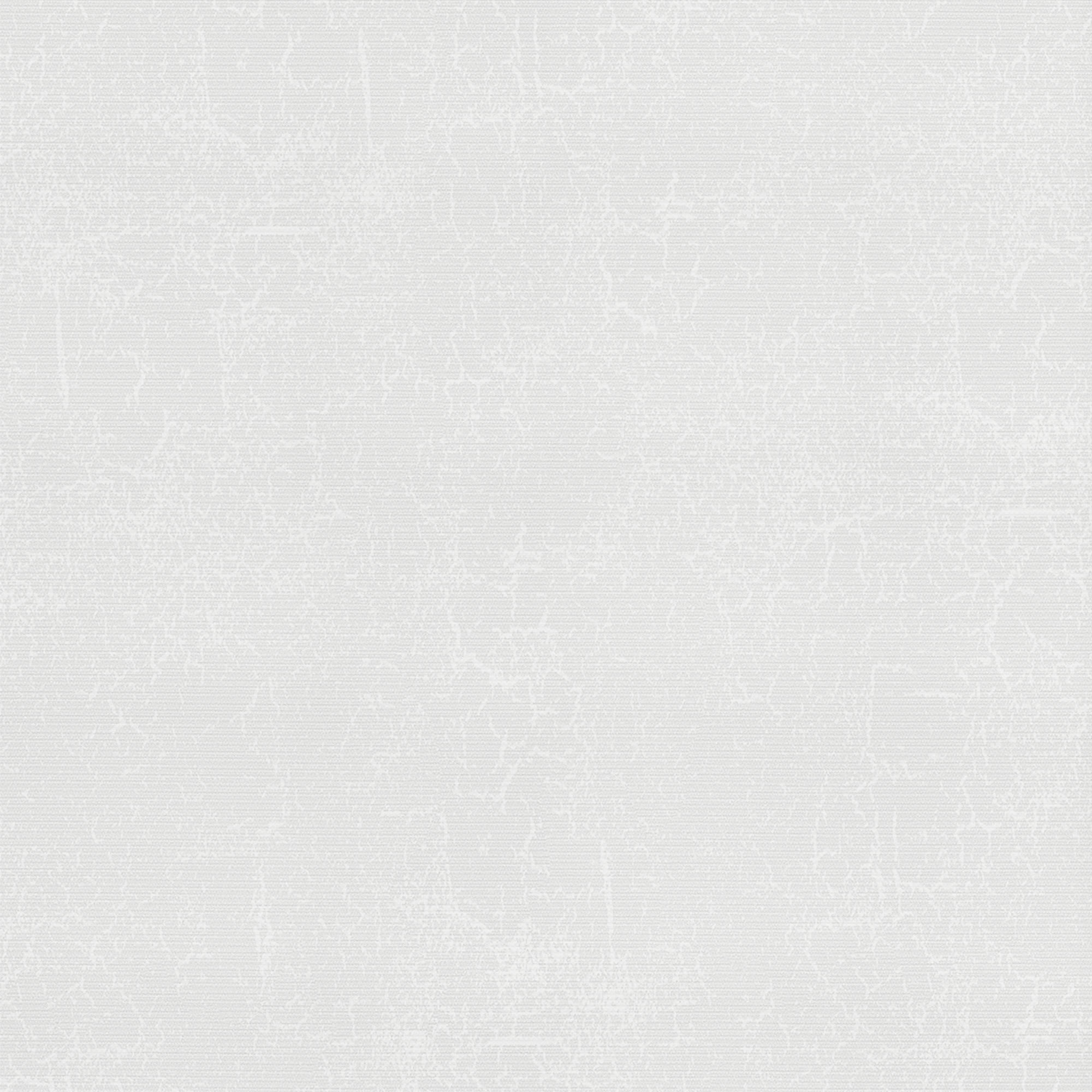 metz_WHITE.png