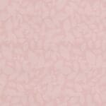 Sorbet