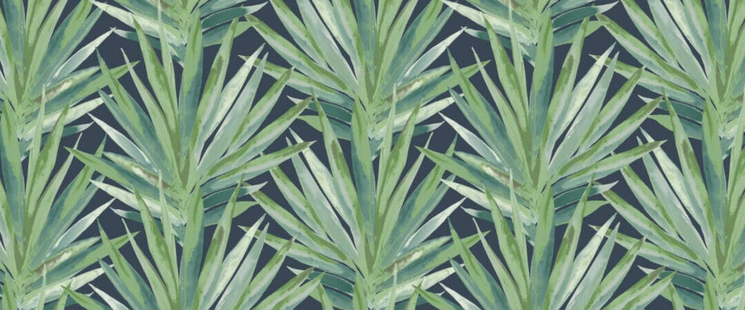 Tropic