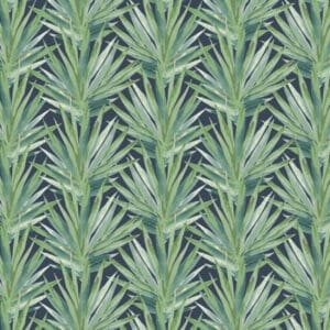 Tropic